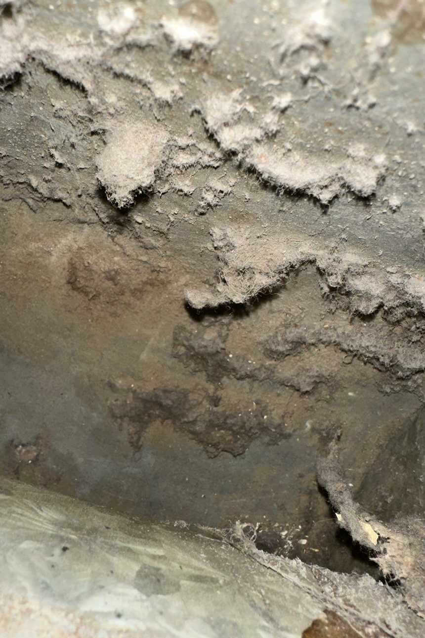Dryer Vent Cleaning in Edgewater, NJ 1 Air Duct Cleaning Service in Edgewater NJ Body